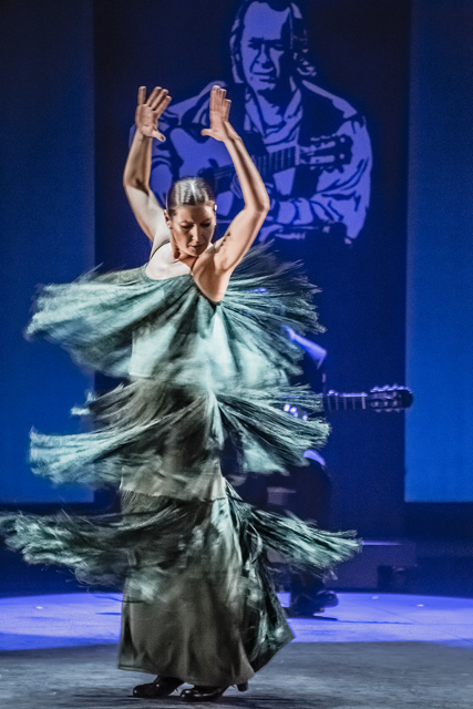 Sara Baras wears a jade green dress with fringe. As she spins with her arms over her head, the fringe splays all around her. 